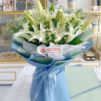 上饶8支白色多头百合洋甘菊，互倾的思念